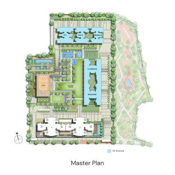 mas-plan